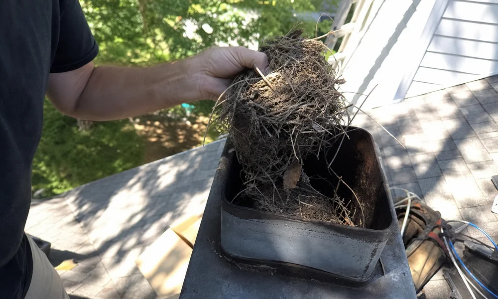 Animal nest debris inside a chimney flue causing odor
